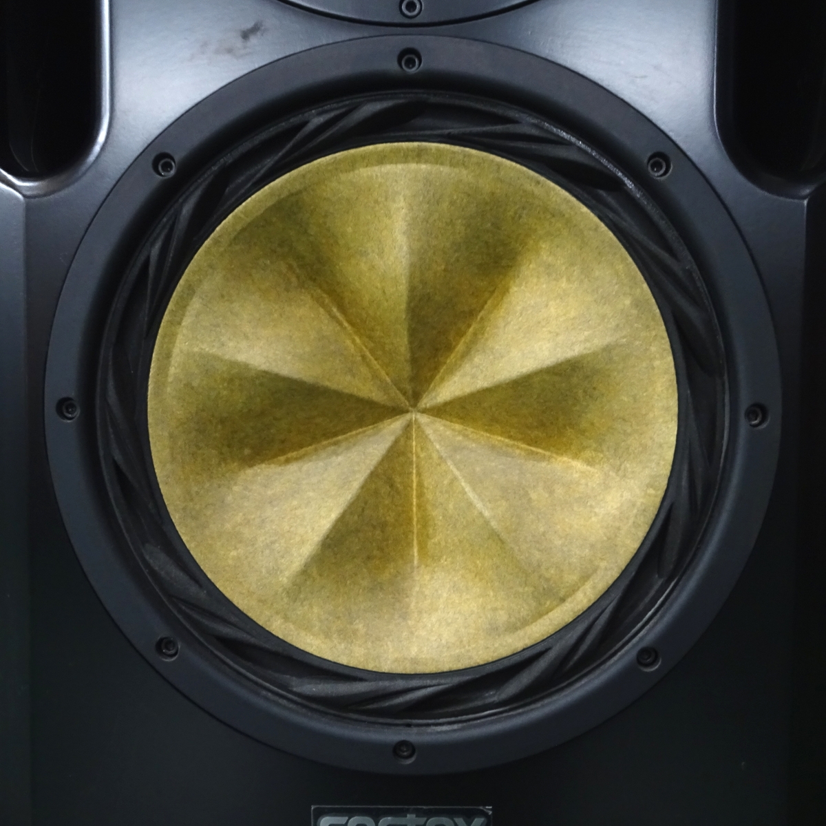 FOSTEX RS-2S ペア フォステクス プロ用業務用 スピーカー 特注
